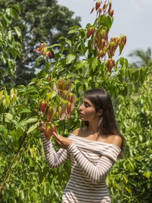 Villa-Mayurana-Cinnamon-Experience-7156